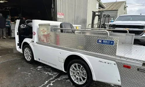 Customized electric fleet vehicles